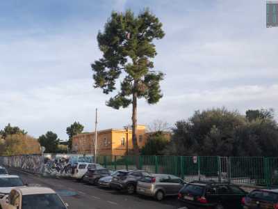 Costeggiamo quindi il muro perimetrale, ricoperto di colorati murales...